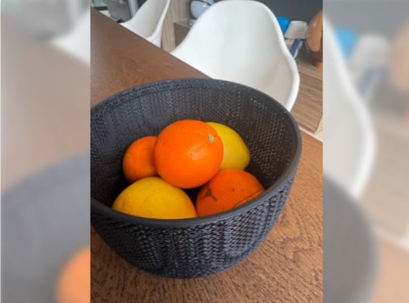 Cocktail Bar Mesh Basket | Citrus & Fruit Holder 3D