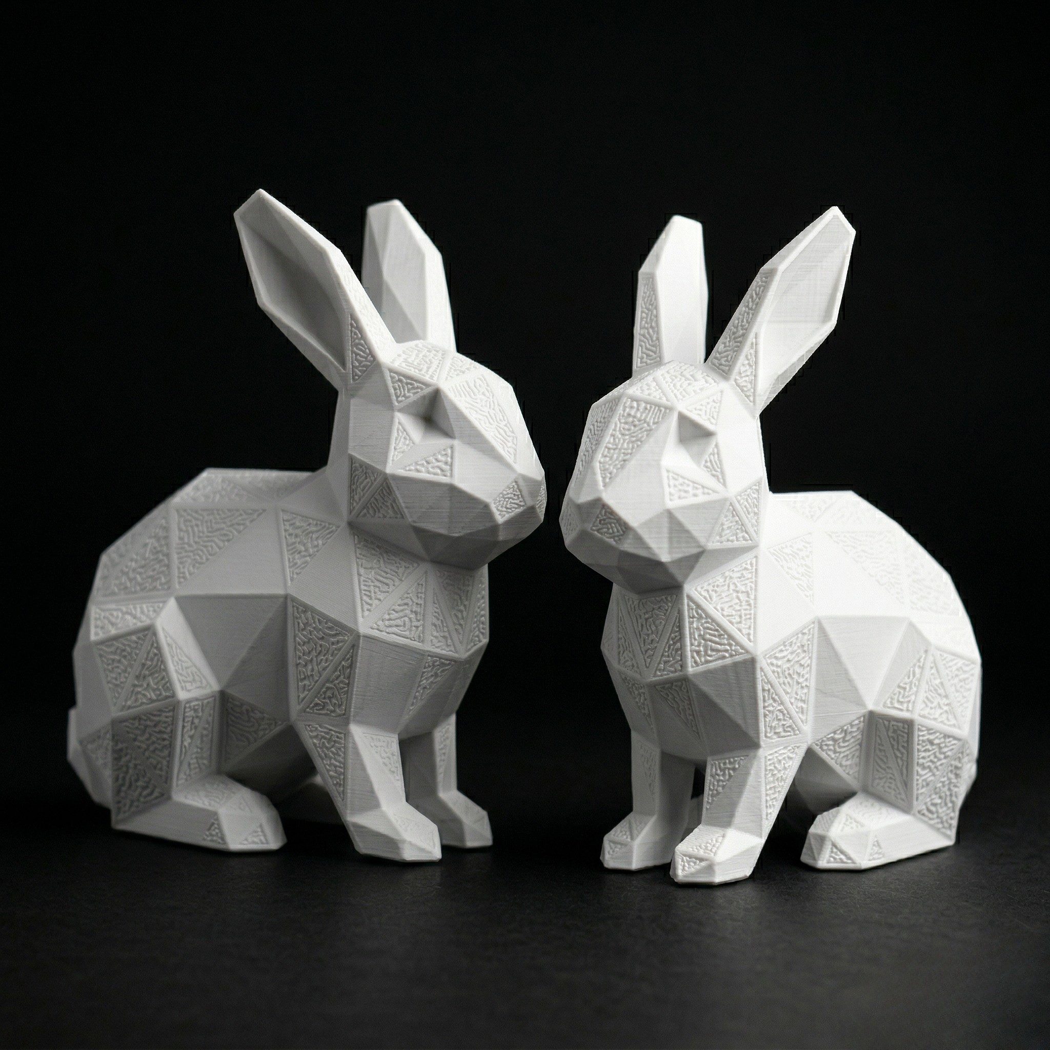 3d rabbit homedecover