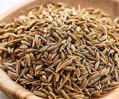 Cumin Seeds Jeera